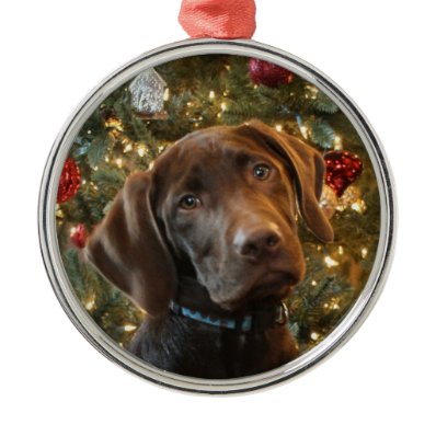 Chocolate Lab Christmas Ornament