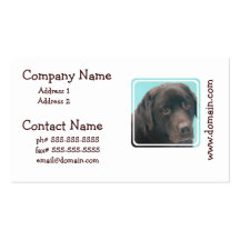 Chocolate Lab Dog Busines Cards Business Cards