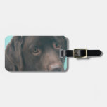 Chocolate Lab Dog Luggage Tag