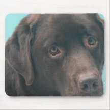 Chocolate Lab Dog Mouse Pad