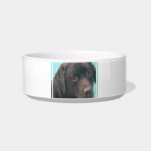 Chocolate Lab Dog Pet Bowl