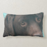Chocolate Lab Dog Pillow