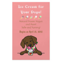 Chocolate Lab Ice Cream for Dogs Flyer