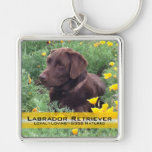 Chocolate Lab in California Poppy Patch Key Chains