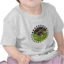 Chocolate Lab in Daisies Baby T-Shirt