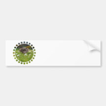 Chocolate Lab in Daisies Bumper Sticker