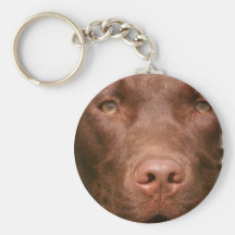 Chocolate Lab Keychain