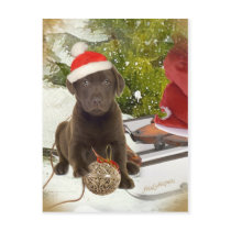 Chocolate Lab Loves Christmas Cards postcards by friskybiz Chocolate Lab Loves Christmas Cards postcards