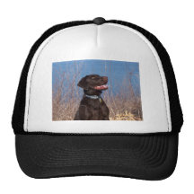 Chocolate Lab Mesh Hats