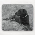 Mousepad Ringo the Ranch Dog Mousepad