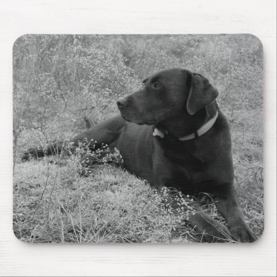 Chocolate Lab Mousepad by WheatgrassDesigns