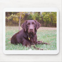 Chocolate Lab Mousepad