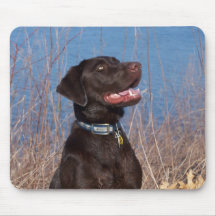 Chocolate Lab Mousepads