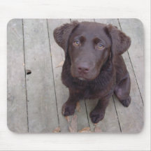 Chocolate Lab Mousepads