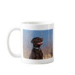 Chocolate Lab mugs