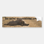 Chocolate Lab On A Forest Trail Bumper Stickers