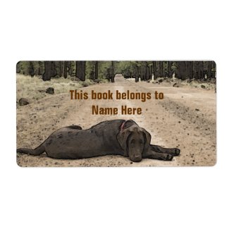 Chocolate Lab On A Forest Trail label