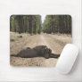 Chocolate Lab On A Forest Trail Mouse Pad