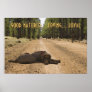 Chocolate Lab On A Forest Trail Posters