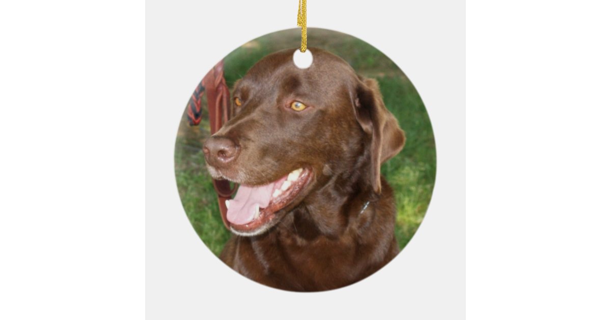 chocolate lab ornament zazzle chocolate lab ornament zazzle