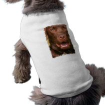 Chocolate Lab Pet Shirt