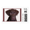 Chocolate Lab postage by Lesleysloft Chocolate Lab postage