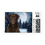 Chocolate Lab Postage Stamp