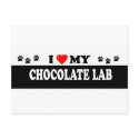 CHOCOLATE LAB postcards by GenuineDogOwner CHOCOLATE LAB postcards