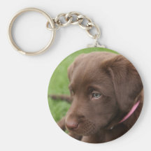 Chocolate Lab Pup Keychain