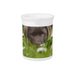 Chocolate Lab Pup Pitcher