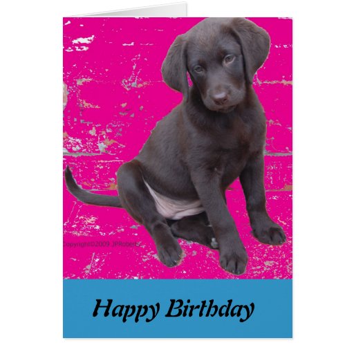 chocolate lab puppy birthday card Zazzle