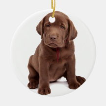 Chocolate Lab Puppy Christmas Ornaments