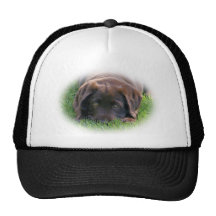 Chocolate Lab Puppy Hat