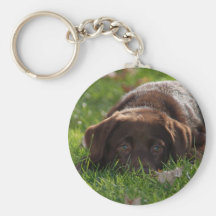 Chocolate Lab Puppy Key Chain