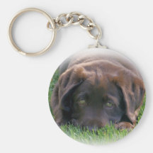 Chocolate Lab Puppy Key Chains