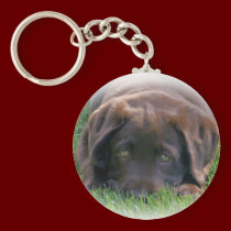 Chocolate Lab Puppy keychains