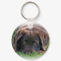 Chocolate Lab Puppy keychains by ChocolateLoversLabs Chocolate Lab Puppy keychains