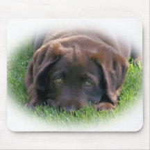 Chocolate Lab Puppy Mouse Pad
