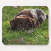 Chocolate Lab Puppy Mousepad