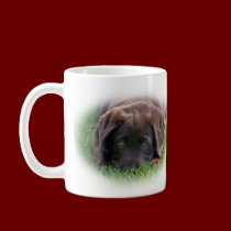 Chocolate Lab Puppy mugs