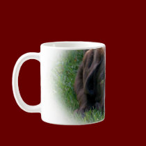 Chocolate Lab Puppy mugs