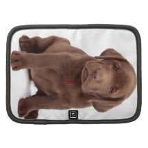 Chocolate Lab Puppy Organizers