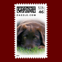 Chocolate Lab Puppy stamps