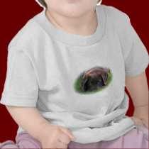 Chocolate Lab Puppy t-shirts