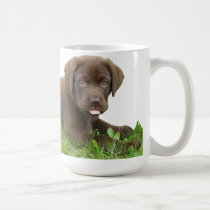 Chocolate Lab Puppy with Attitude mugs
