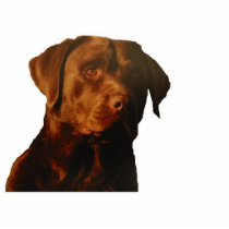 Chocolate lab sculpture keychain photo sculpture
