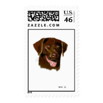 Chocolate lab stamp.