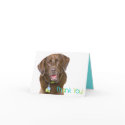Chocolate Lab Thank You Card