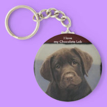 Chocolate Labdrador Retriever Keychain keychains