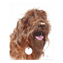 Chocolate Labradoodle #1 Canvas print by mozache Chocolate Labradoodle #1 Canvas print